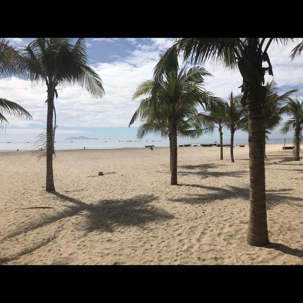 Meet your Posher, Anh